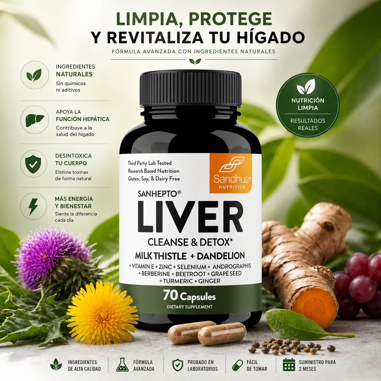 Liver Limpieza Higado